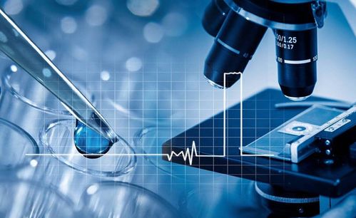 致力美好創造 華絲蘭，一家正在崛起的國貨新星